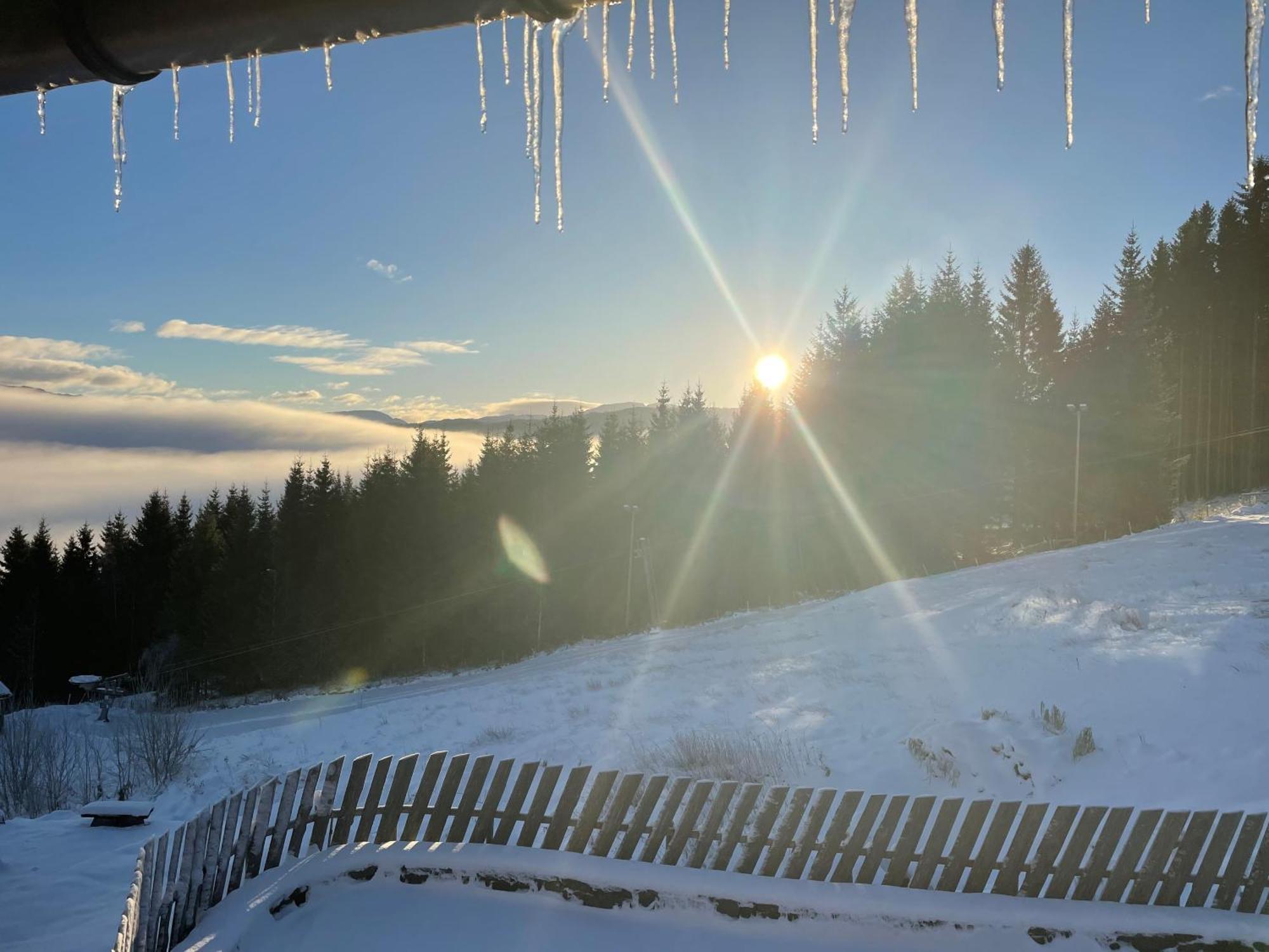 Voss Bavallstunet * Skulestadmo