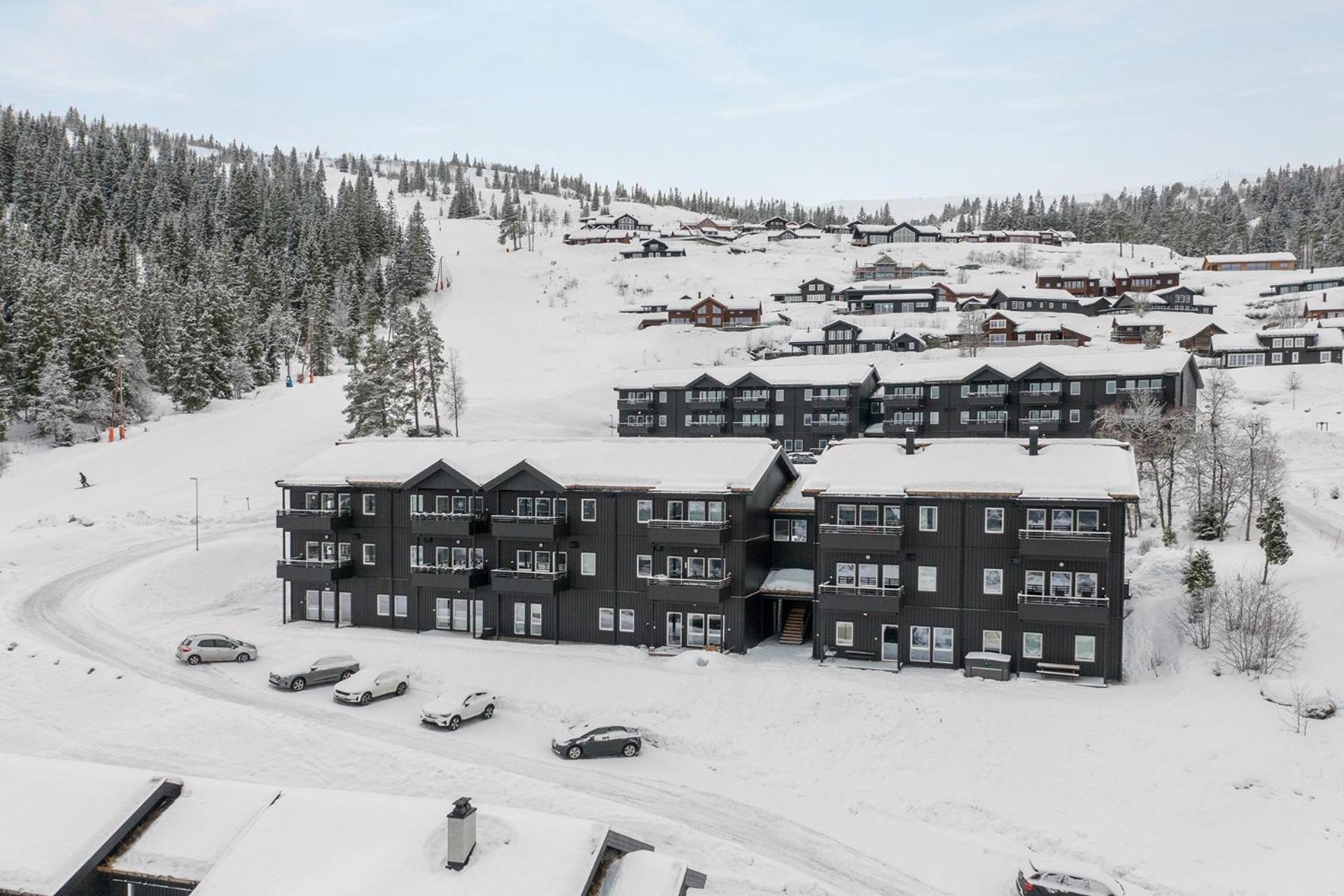 Lodge Voss Bavallstunet Skulestadmo